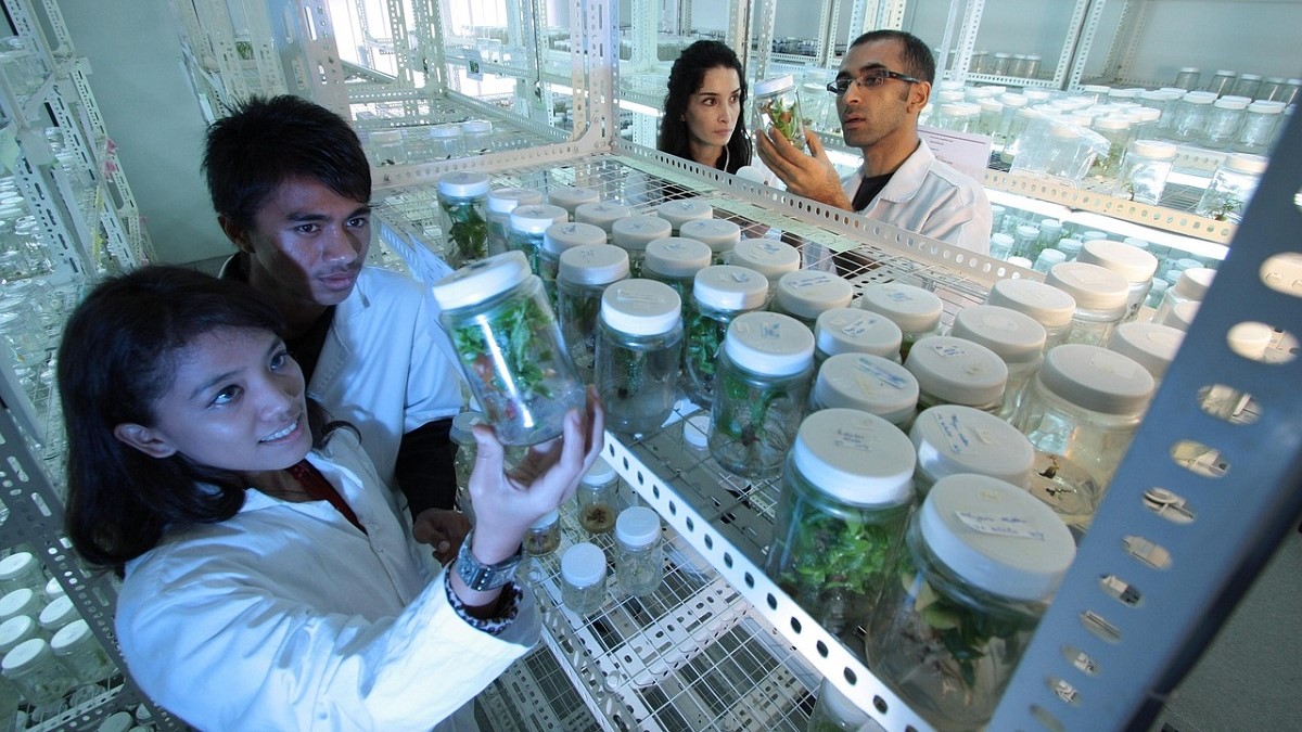 laboratorio poscosecha.jpg